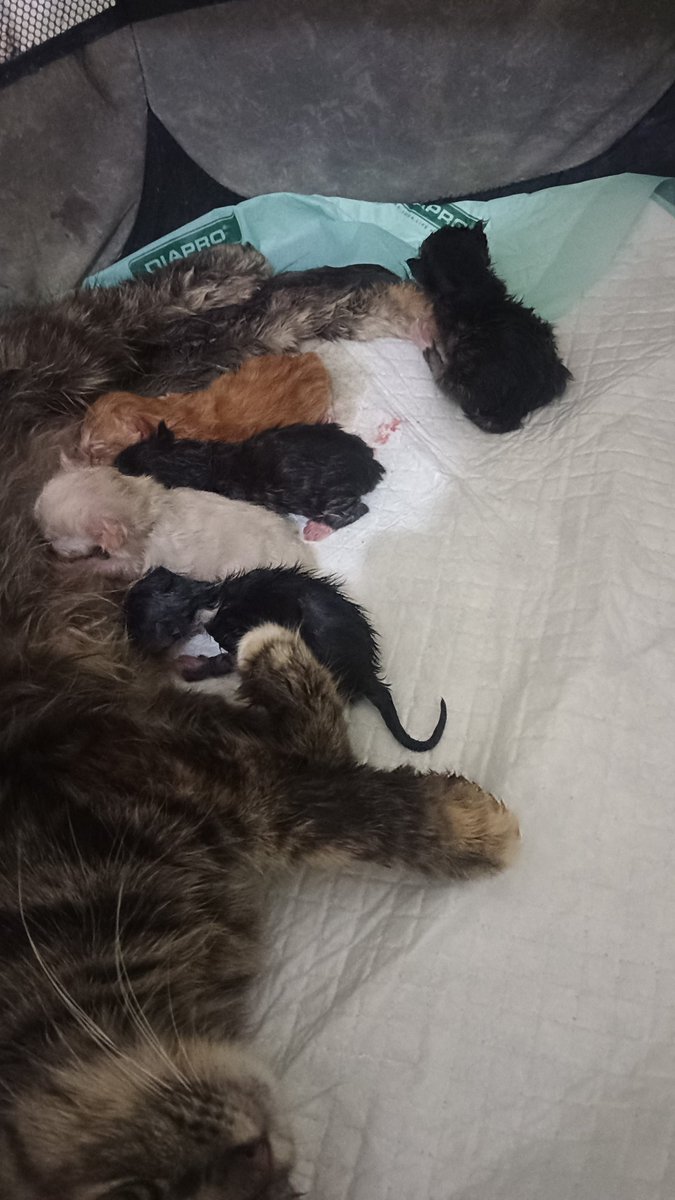 Welcome to the world baby gen 3