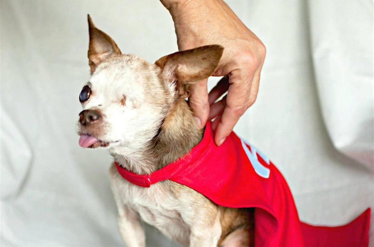 "Heroes make us smile because they not only rescue us outwardly, but inwardly too." -Richelle E. Goodrich