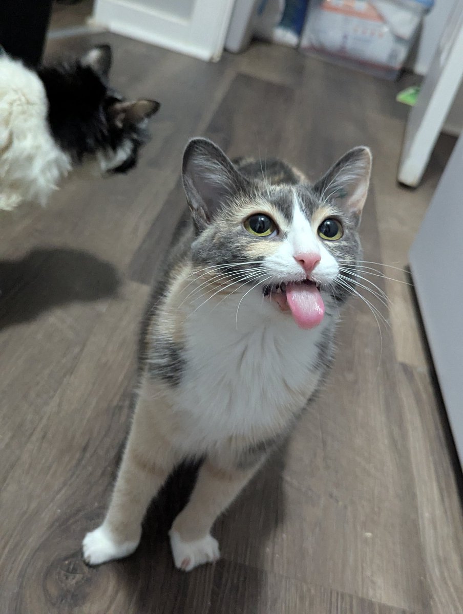 How it feels to chew 5 gum