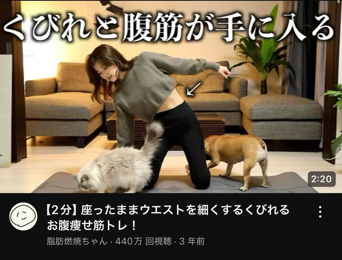 ashitaka_black's tweet photo. クビレと腹筋作りたいなら今すぐこれしろ💢

1週間続けたらまじで鏡みた時ひっくりかえるぞ https://t.co/42uF0ysXwF