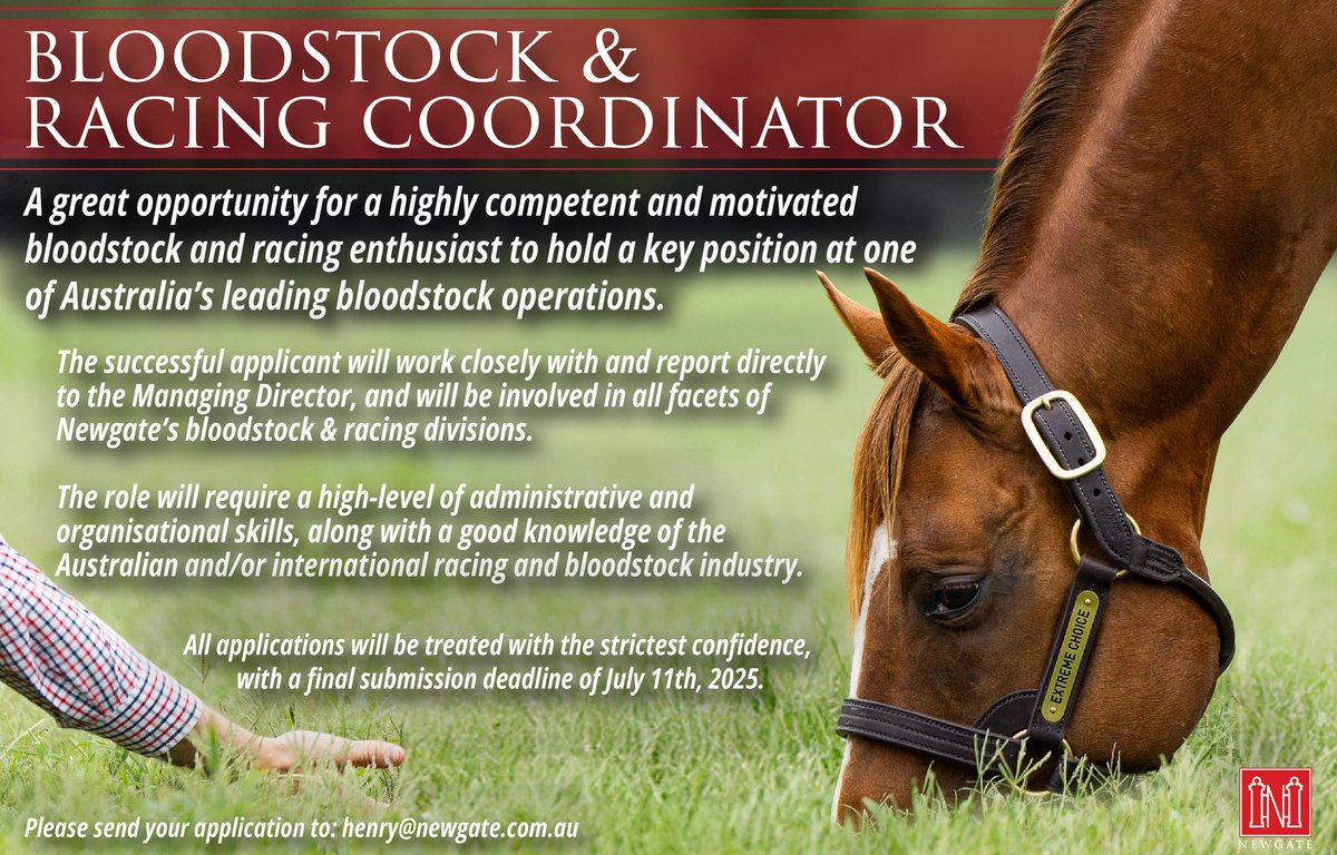 Newgate (@newgatefarm) on Twitter photo An incredible opportunity to work side-by-side with one of the sharpest bloodstock and racing minds in the country!
If you are driven, highly organised and ready to step into a key role at Newgate, please apply to henry@newgate.com.au by July 11th, 2025📧 An incredible opportunity to work side-by-side with one of the sharpest bloodstock and racing minds in the country!
If you are driven, highly organised and ready to step into a key role at Newgate, please apply to henry@newgate.com.au by July 11th, 2025📧
