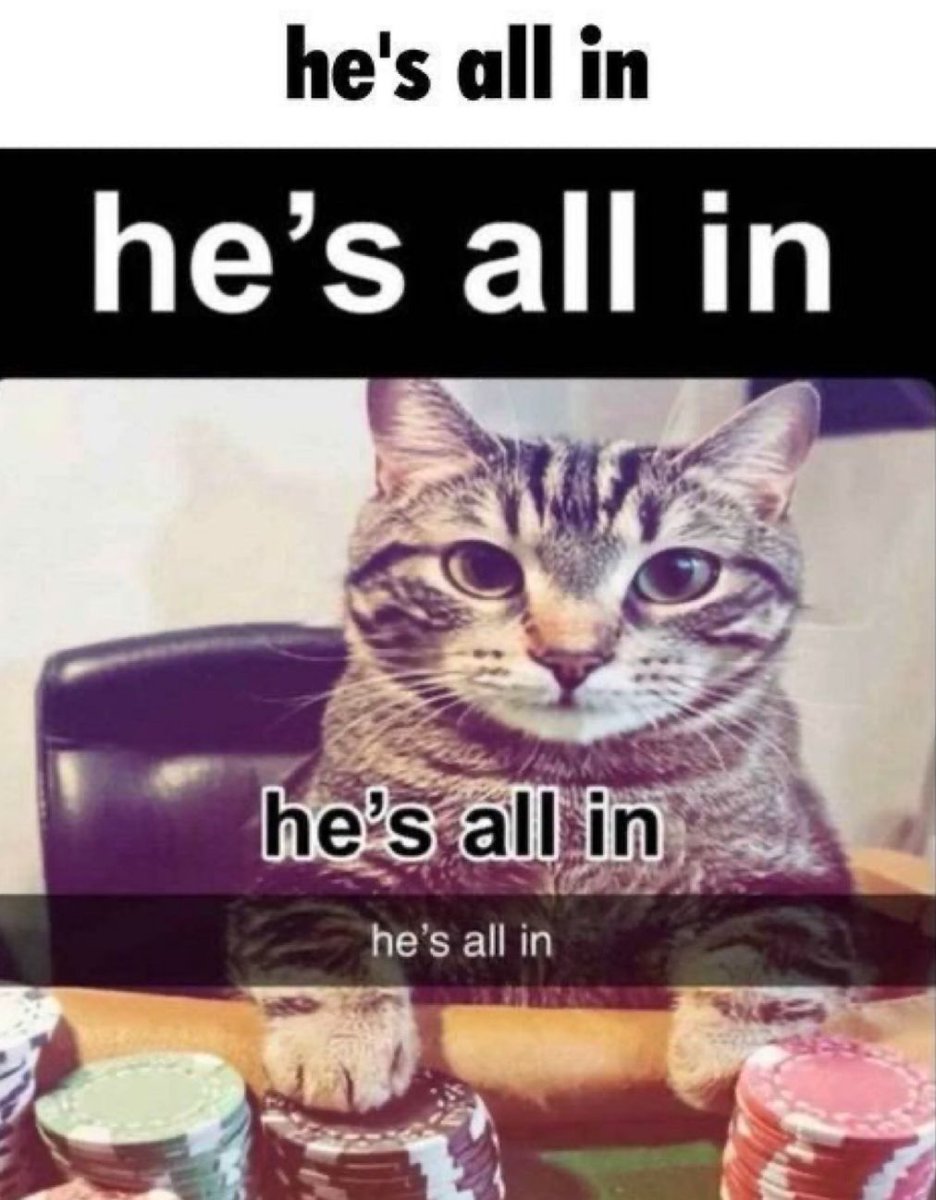 🕐HOURLY🕑 shitpost (@hourly_shitpost) on Twitter photo 