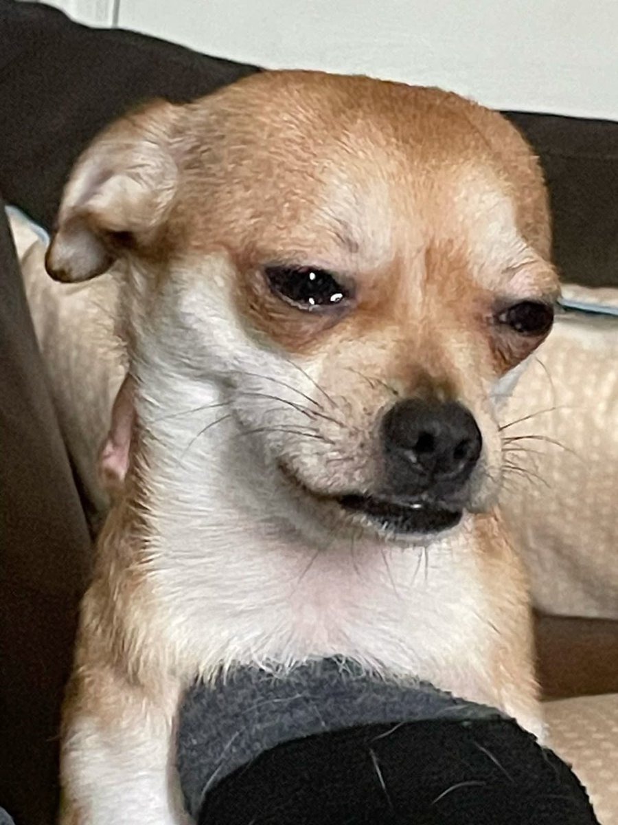 오늘 꿈에서 료 나왔어 …. 진짜 료가 너무 보고싶어 난 …. 나는 일본까지 따라갔어 오능 ….