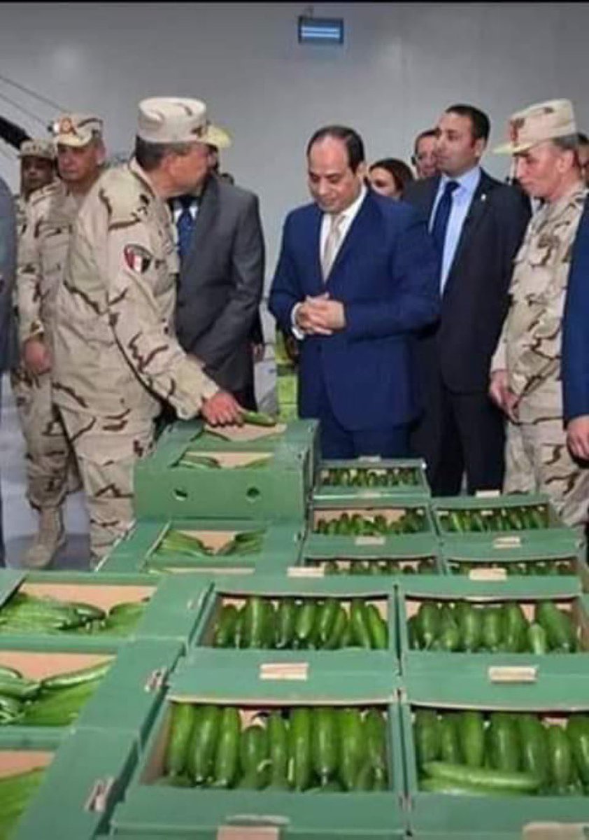 اجتماع طارئ لقيادة أركان الخيار بالجيش المصري مع القائد الأعلى لقوات السلَطة
تم الاتفاق خلال الاجتماع على زيادة إنتاج الخيار عشان ضباط وأفراد الجيش بيحبوا ياكلوا الخيار ( ياكلوه من فين الله أعلم 🤣 )
بالله ده جيش يتشد بيه الظهر ؟
دول شوية فلاحين برتب عسكرية وهما عار على العسكرية