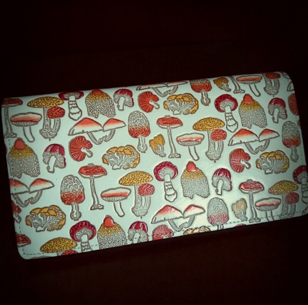 どうせ毒きのこならかわいいの生えてきてほしいね きのこ大好き
ビーバーファミリーと一緒に写ってるのは造形苦手な私がこれだけはちょっとだけうまいねんどで作ったきのこと昔使ってたきのこ財布