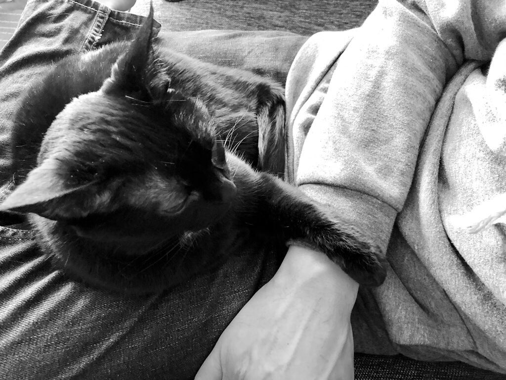 For 10 years now, I haven’t been able to call, see or hug my dad on Father’s Day. I know his spirit guides me and he lives forever in my heart, but all these years later, it still hurts 💔 To my amazing husband, Nathan: Rogue knew nothing but love and that’s all because of you ♥️