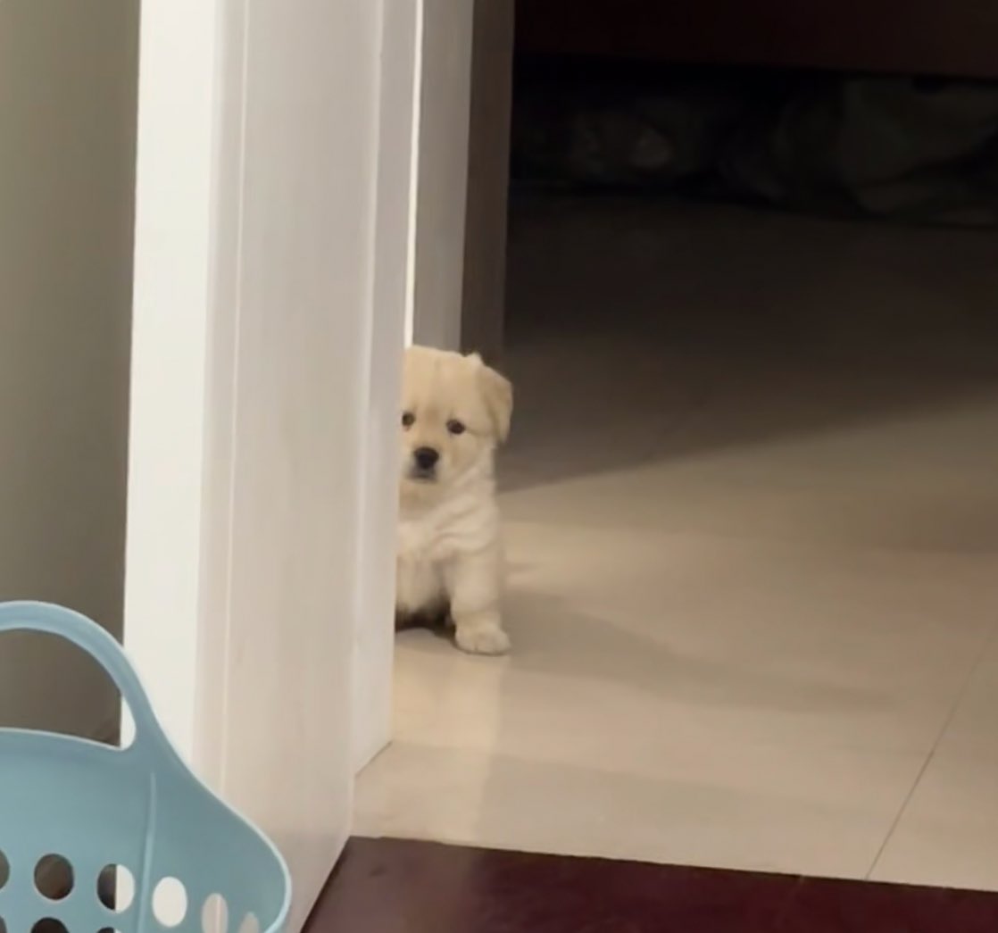 ไปทำงานก้อย่าลืมคิดถึมกันน่ะ