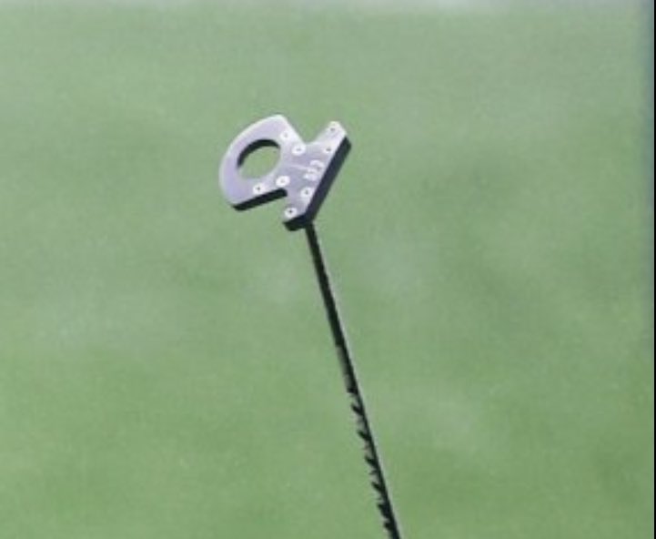 what a world, someone just won the U.S. Open with the Buttplug Putter
