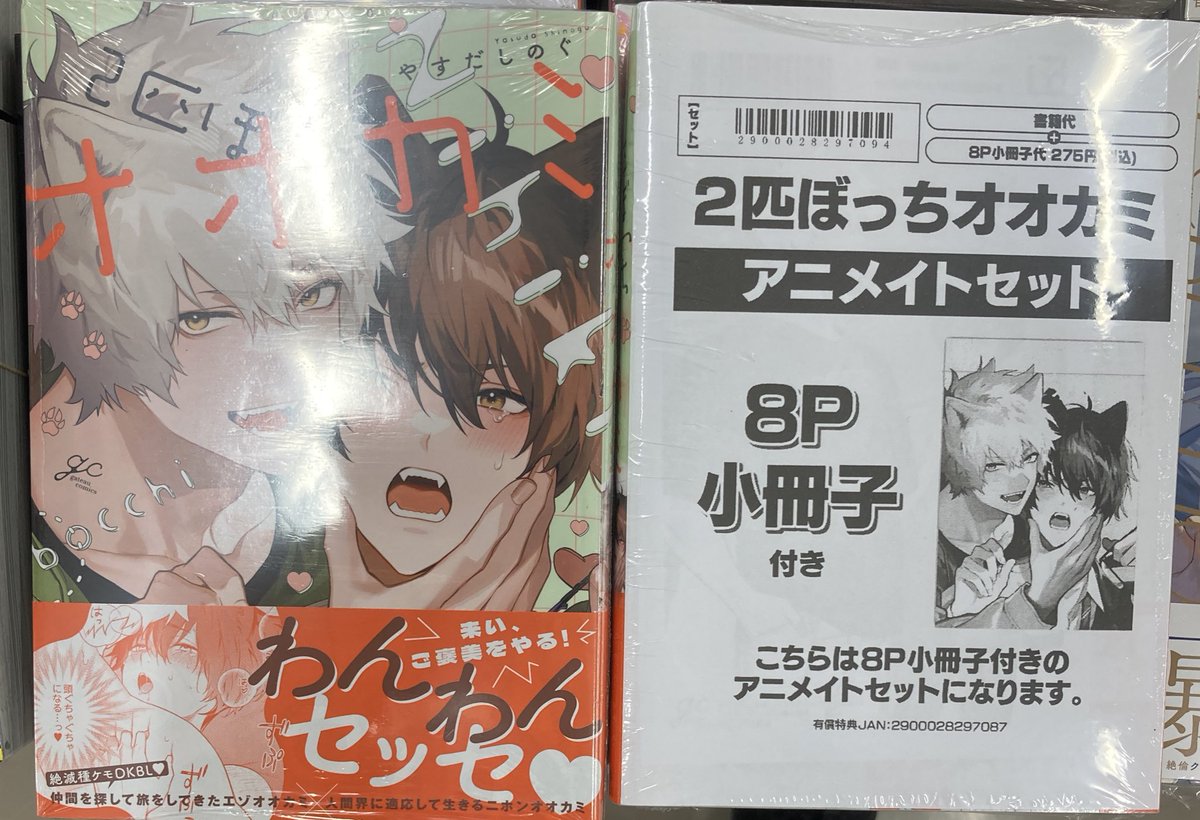 アニメイト小倉 on X: 