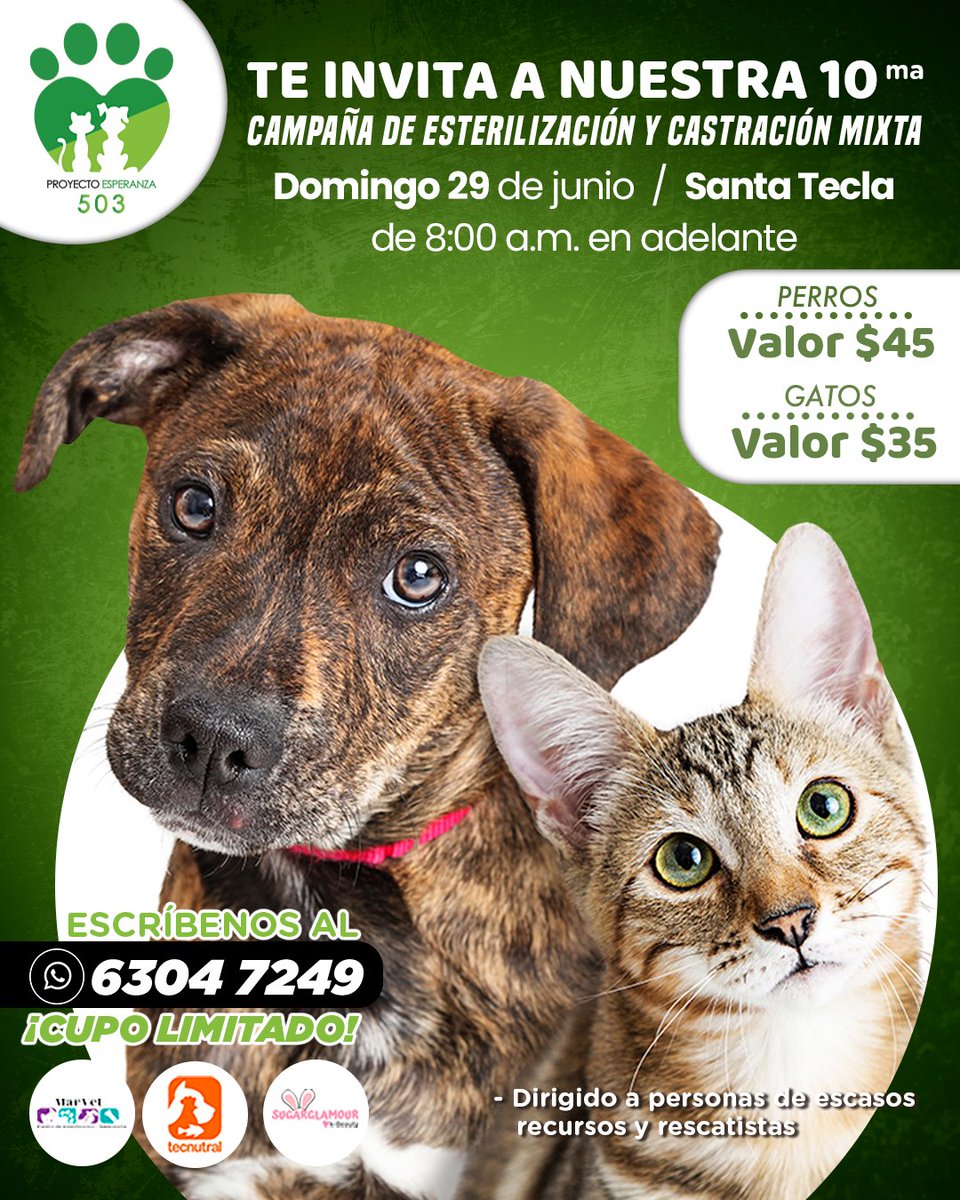 ProyectoEsperanza503 tweet media