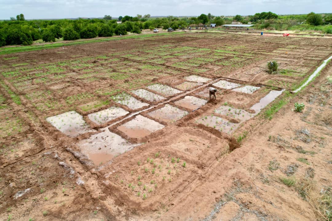 SomRePOfficial's tweet image. A high-level delegation of Directors General and technical staff from the Federal Government and Jubaland State of Somalia—representing key ministries including Planning, Agriculture, Livestock, Social Affairs, Water, Commerce, SoDMA, and Environment—are in Dollow to monitor the…