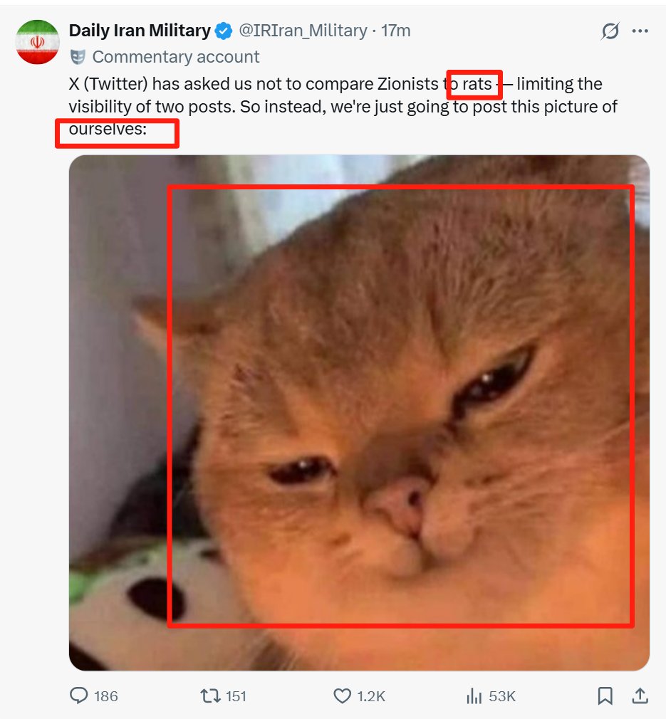 memewizd (@memewizd) on Twitter photo $IranCat
75jh5PfbJn78LMuy7txwmXTb3kYaTi2T4xRtk4a85dQ3
1.1m now
gmgn.ai/sol/token/nRB7…
dyor - <a href="/IRIran_Military/">Daily Iran Military</a> : You say we can’t call them rats?
Fine, then we’ll just say we’re the cats — but you know what cats do? $IranCat
75jh5PfbJn78LMuy7txwmXTb3kYaTi2T4xRtk4a85dQ3
1.1m now
gmgn.ai/sol/token/nRB7…
dyor - <a href="/IRIran_Military/">Daily Iran Military</a> : You say we can’t call them rats?
Fine, then we’ll just say we’re the cats — but you know what cats do?