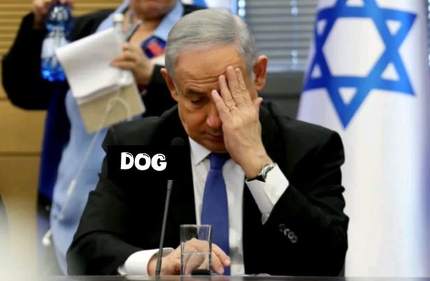 husaintalks's tweet photo. کون اس کتے پر لعنت بھیجے گا؟
#ایران | #Israel | #iranisraelwar https://t.co/mRTG73jkuz
