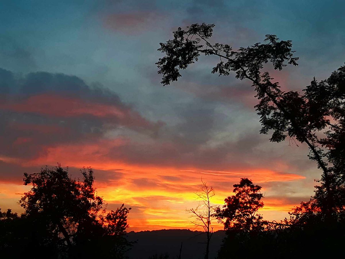 MiraSound (@montecrossa) on Twitter photo #Photo by #Mirakali Sunset in Mirapuri <a href="/yzcyzf/">性格色覚W異常フニクラ@CFS&無呼吸&HSP</a> <a href="/KeiraNightly2/">Keira Nightly</a> <a href="/iliana_uribe/">Iliana Uribe García</a> #photography #photographer #Mirapuri #NaturePhotography #sunset #atmosphere #landscapephotography #TwitterNatureCommunity #nature #landscape Mirakali.net #Photo by #Mirakali Sunset in Mirapuri <a href="/yzcyzf/">性格色覚W異常フニクラ@CFS&無呼吸&HSP</a> <a href="/KeiraNightly2/">Keira Nightly</a> <a href="/iliana_uribe/">Iliana Uribe García</a> #photography #photographer #Mirapuri #NaturePhotography #sunset #atmosphere #landscapephotography #TwitterNatureCommunity #nature #landscape Mirakali.net