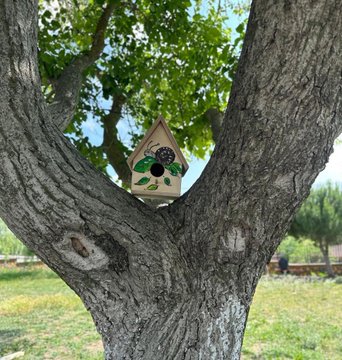 Sakarya’da Özel Eğitim Öğrencilerinin Kuş Evleri Projesi