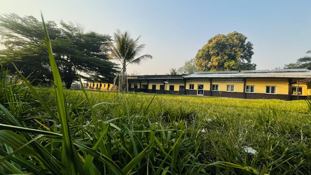 🌍 En 6 jours, une mission citoyenne pour connecter nos écoles congolaises 🇨🇩 grâce à Starlink 🚀

📦 Don de kits + 1 an d’abonnement 🌐
📚 4 écoles connectées :
 🔹 Collège Boboto – Kinshasa
 🔹 Lycée Shaumba – Kinshasa
 🔹 Lycée Bankazi – Mbanza-Ngungu (Kongo Central)
 🔹