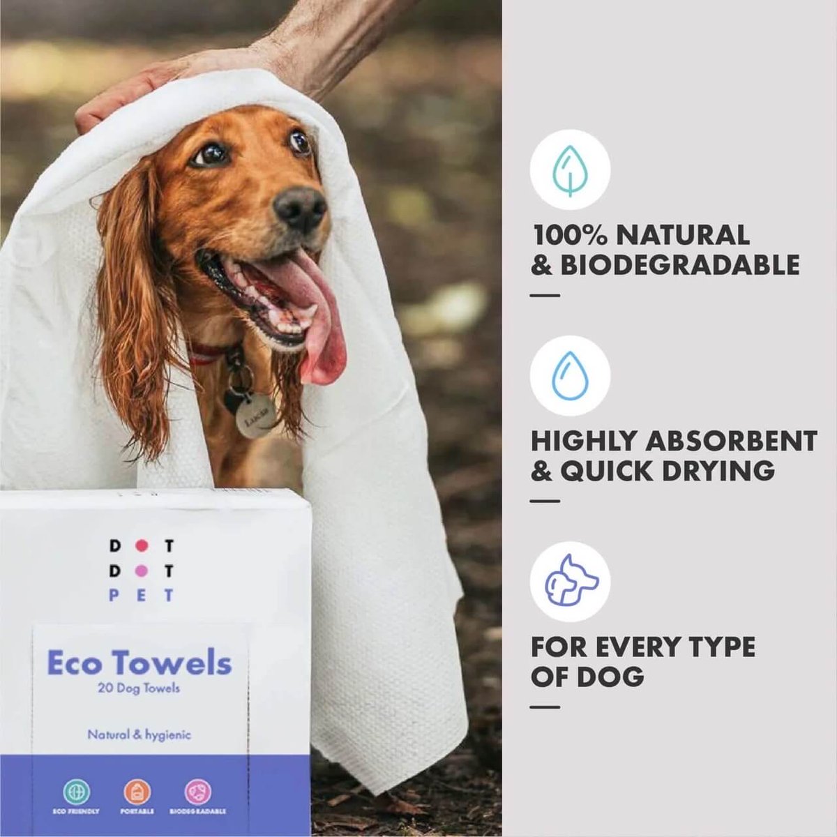 Ditch that old, damp towel! 🚫 

@DotDotPet Eco disposable dog towels are here! 

Each box contains 20 towels that clean and dry one or two muddy pups, then biodegrade in just 90 days.

dotty4paws.co.uk/product/eco-do…

#EarlyBiz
