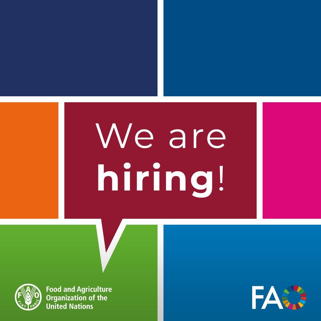 NOUS RECRUTONS : 1 Spécialiste National (e) en Evaluation des besoins en changement climatique du projet GCF Readiness
👉Lieu d’affectation : Madagascar-Antananarivo
👉ENVOYEZ VOTRE CANDIDATURE EN LIGNE JUSQU'AU 26/06/2025 sur ce lien fao.taleo.net/careersection/…