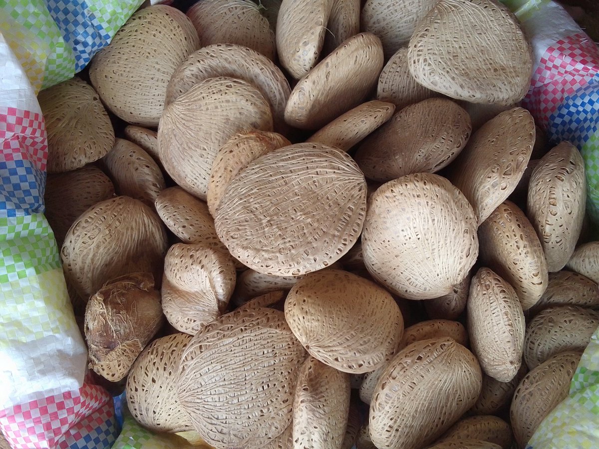 TimoGodsgiven's tweet image. Just had the most amazing traditional dish made with unique seeds! 🌾🍴 The flavors and textures were are unique and delicious. Loving the rich cultural heritage in every bite! 😋👌
What's this in your language