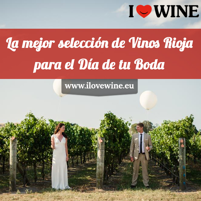 ILOVEWINE_es's tweet image. .Este #verano te casas y en #ILOVEWINE, tenemos la mejor #selección de #Vinos #Rioja para el día de tu #Boda :)

★ ilovewine.eu ★

#VinoRioja #wedding #RiojaWine #WineLovers #EnvioGratis