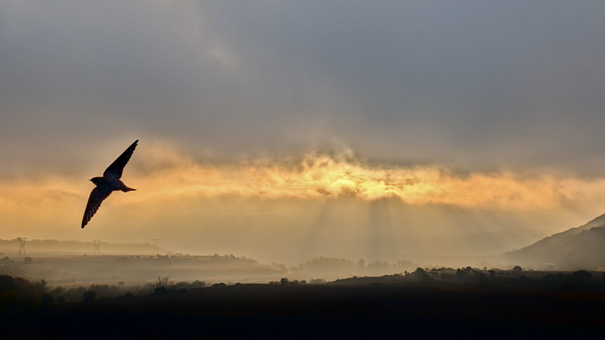 ⛅ [EGURALDIA] Goizean hodeitza mantenduko da, baina arratsaldetik aurrera eta bihar Lorenzo gailenduko da. 

alea.eus/araba/17500557…