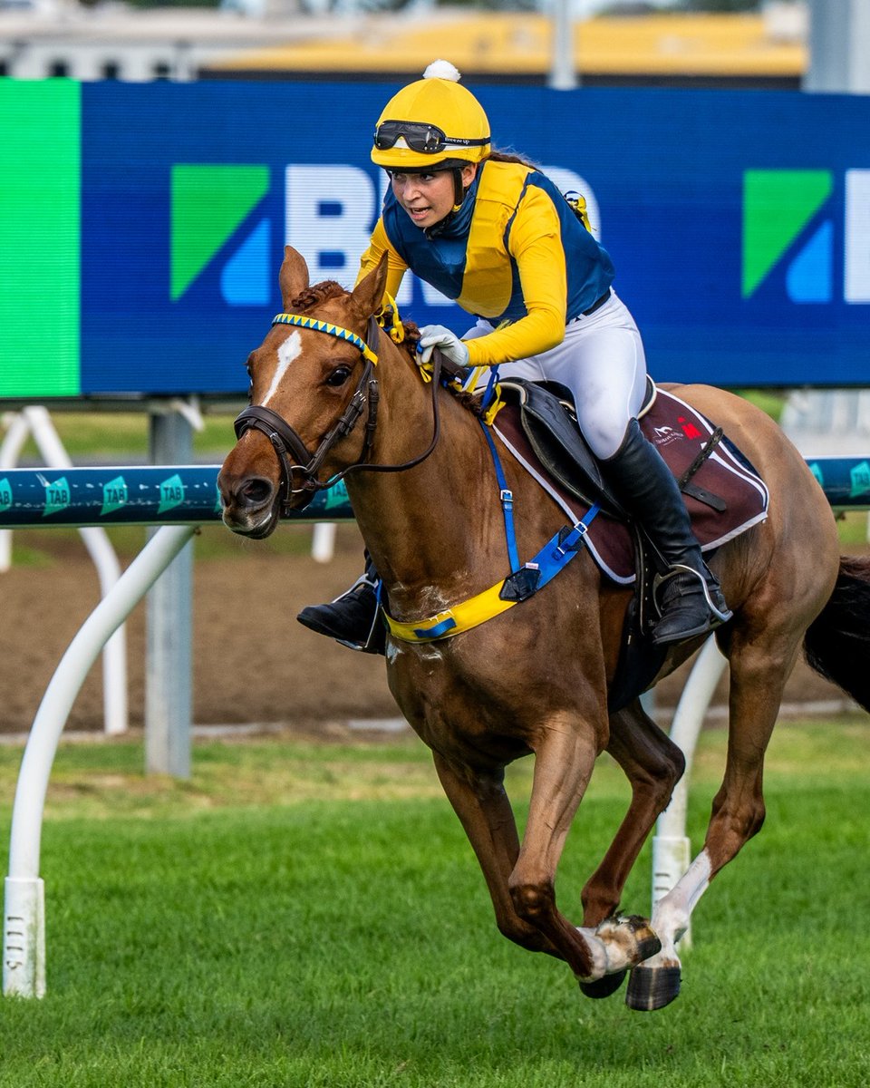 Country Racing (@country_racing) on Twitter photo Lovely piece on Lillianna MeyerVale, the 16yo from Benalla Pony Club who was victorious in the National Pony Race Series Final aboard Honey ππ
Read more π
<a href="/PonyClubAus/">PONYCLUBAus</a> <a href="/PonyClubVic/">Pony Club Victoria</a> <a href="/TBredCareers/">Thoroughbred Industry Careers</a> Lovely piece on Lillianna MeyerVale, the 16yo from Benalla Pony Club who was victorious in the National Pony Race Series Final aboard Honey ππ
Read more π
<a href="/PonyClubAus/">PONYCLUBAus</a> <a href="/PonyClubVic/">Pony Club Victoria</a> <a href="/TBredCareers/">Thoroughbred Industry Careers</a>