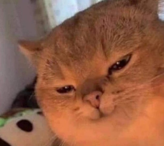 X (Twitter) has asked us not to compare Zionists to rats — limiting the visibility of two posts. So instead, we're just going to post this picture of ourselves: