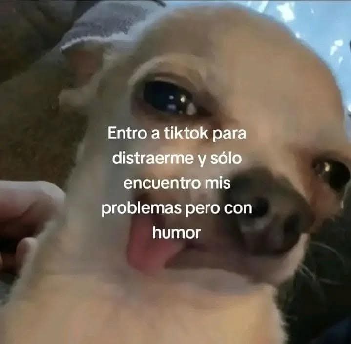 ㅤㅤ