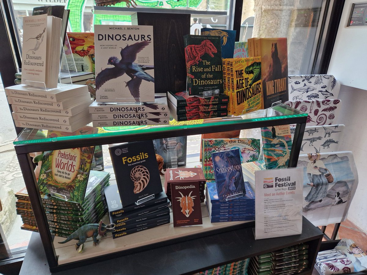 TetZoo's tweet image. Had a fantastic time at 2025 #LymeRegis #FossilFestival, still recovering. Didn&apos;t take enough photos! We did our fair share of #DinoCon promo :)