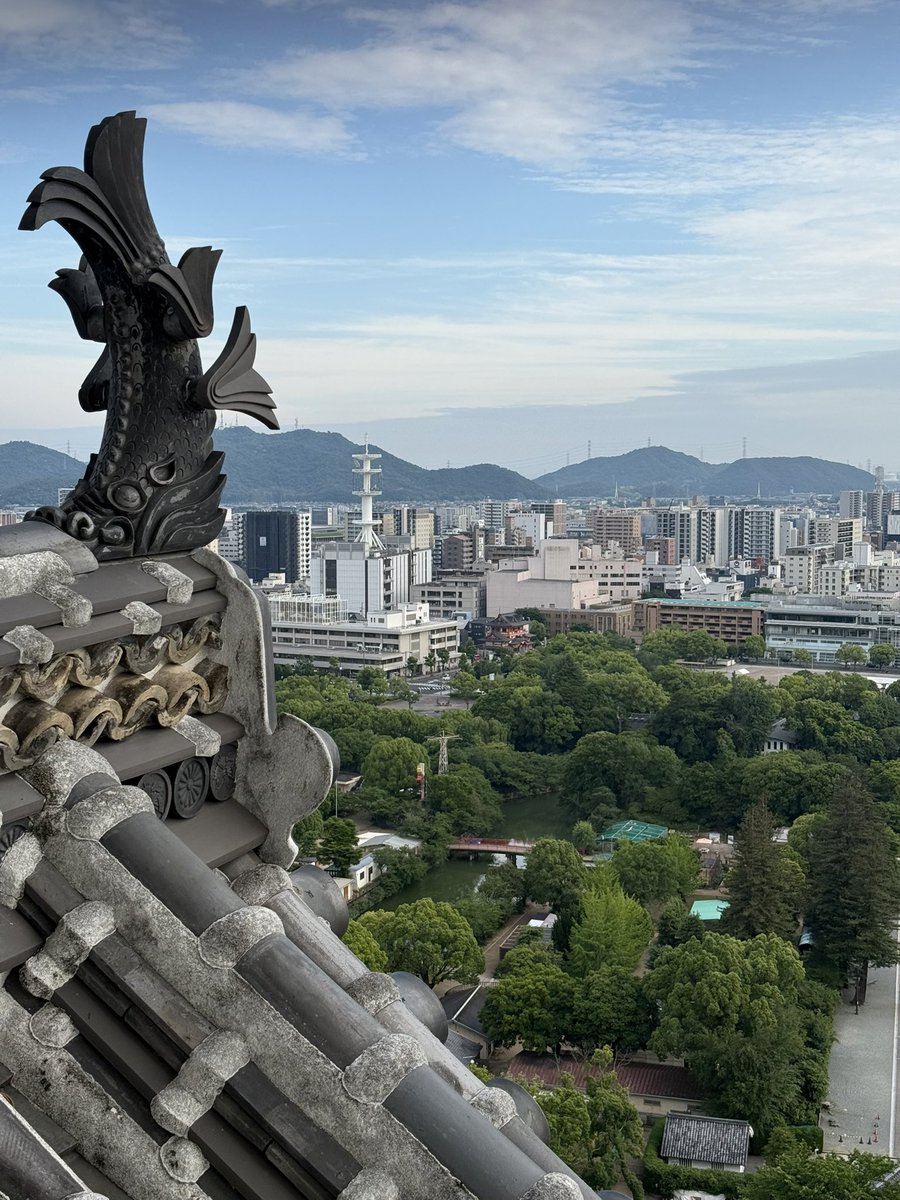 barrigmi's tweet image. GM 🇯🇵