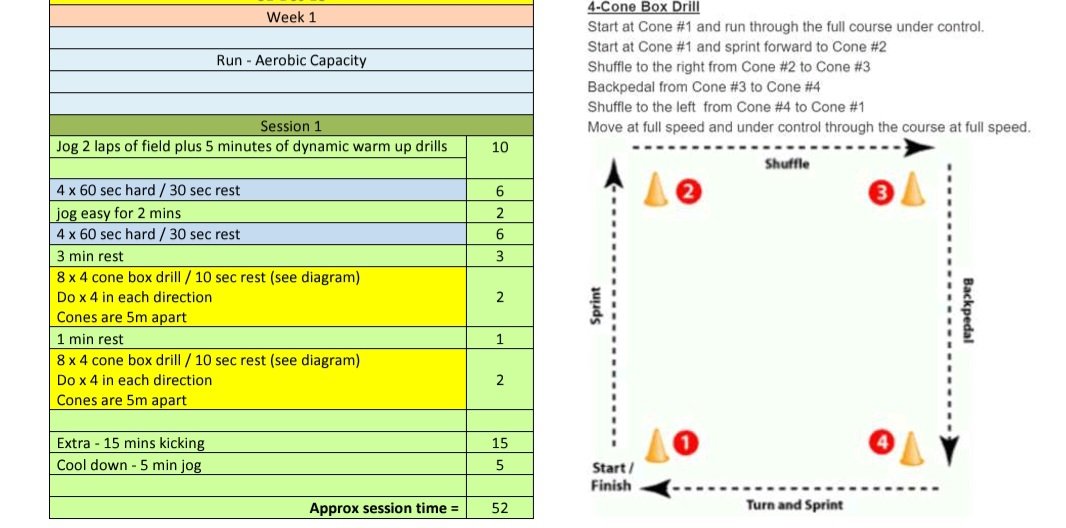 Aerobic capacity including some agility work
