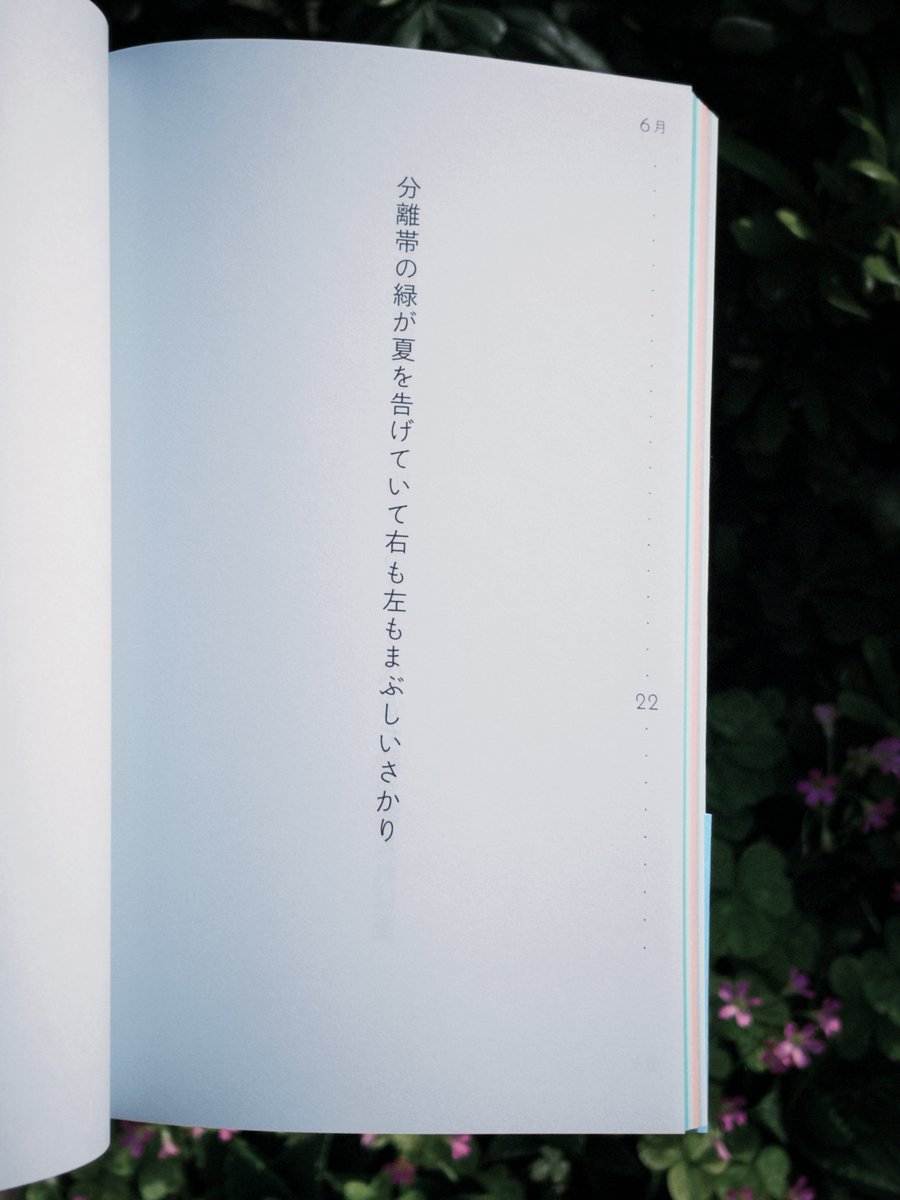 分離帯の緑が夏を告げていて右も左もまぶしいさかり / 『音楽』（ナナロク社）

#時の辞典