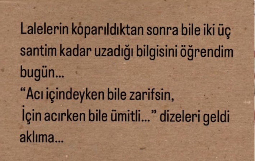 Just Hold Me (@xjustholdme) on Twitter photo 