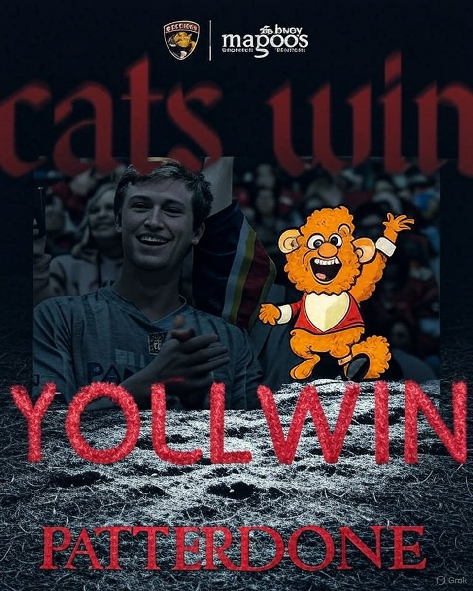 Cats are WINNERS💘