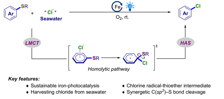 JiangxfGroup's tweet image. We tackled the challenge of metal-catalyst poisoning by thioethers with a green solution:
☀️ Light/Fe-catalyzed desulfurative chlorination
🌊 Uses seawater as chloride source
🔄 Low-energy and NO toxic reagents
A step toward cleaner fossil fuel refining! pubs.rsc.org/en/content/art…