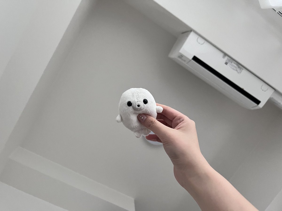 oo__ollo's tweet photo. 🏠 https://t.co/VjlFjQ1bTr