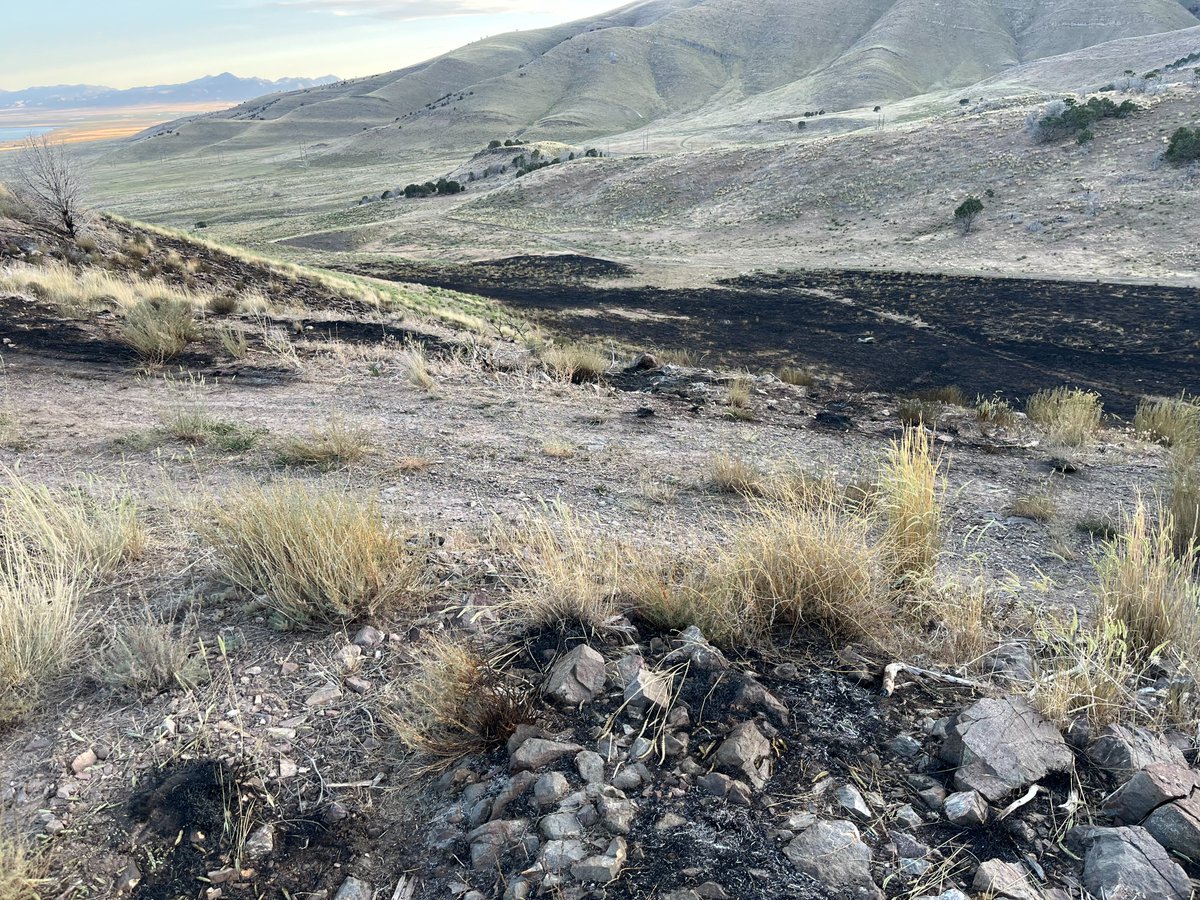 #RangeFire update: the fire burned 37.5 acres and is now 100% contained. Most resources have been released. An engine will stay on scene overnight to monitor the fire area. Last report. #ffslkth