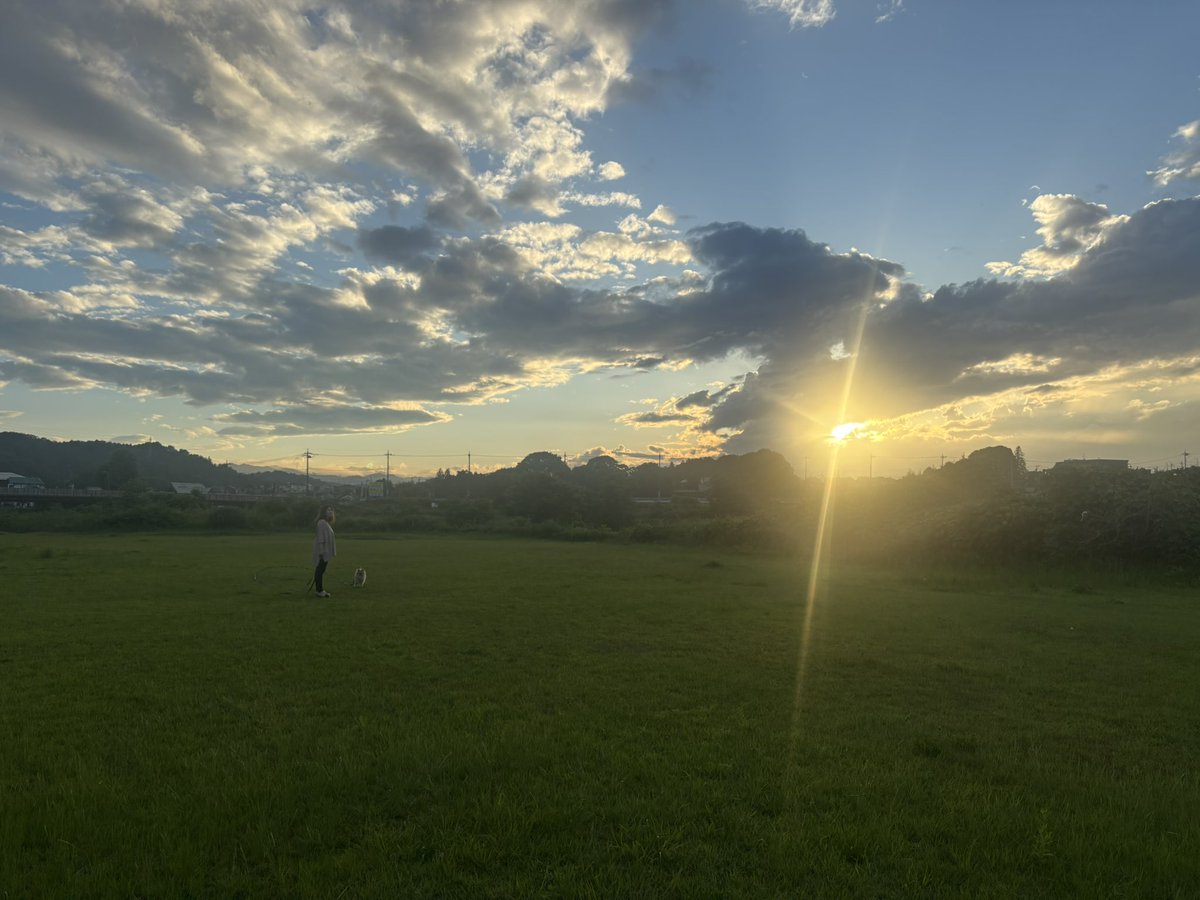昨日、遊びに行ったら新海誠監督作品に出てきそうな写真撮れた
