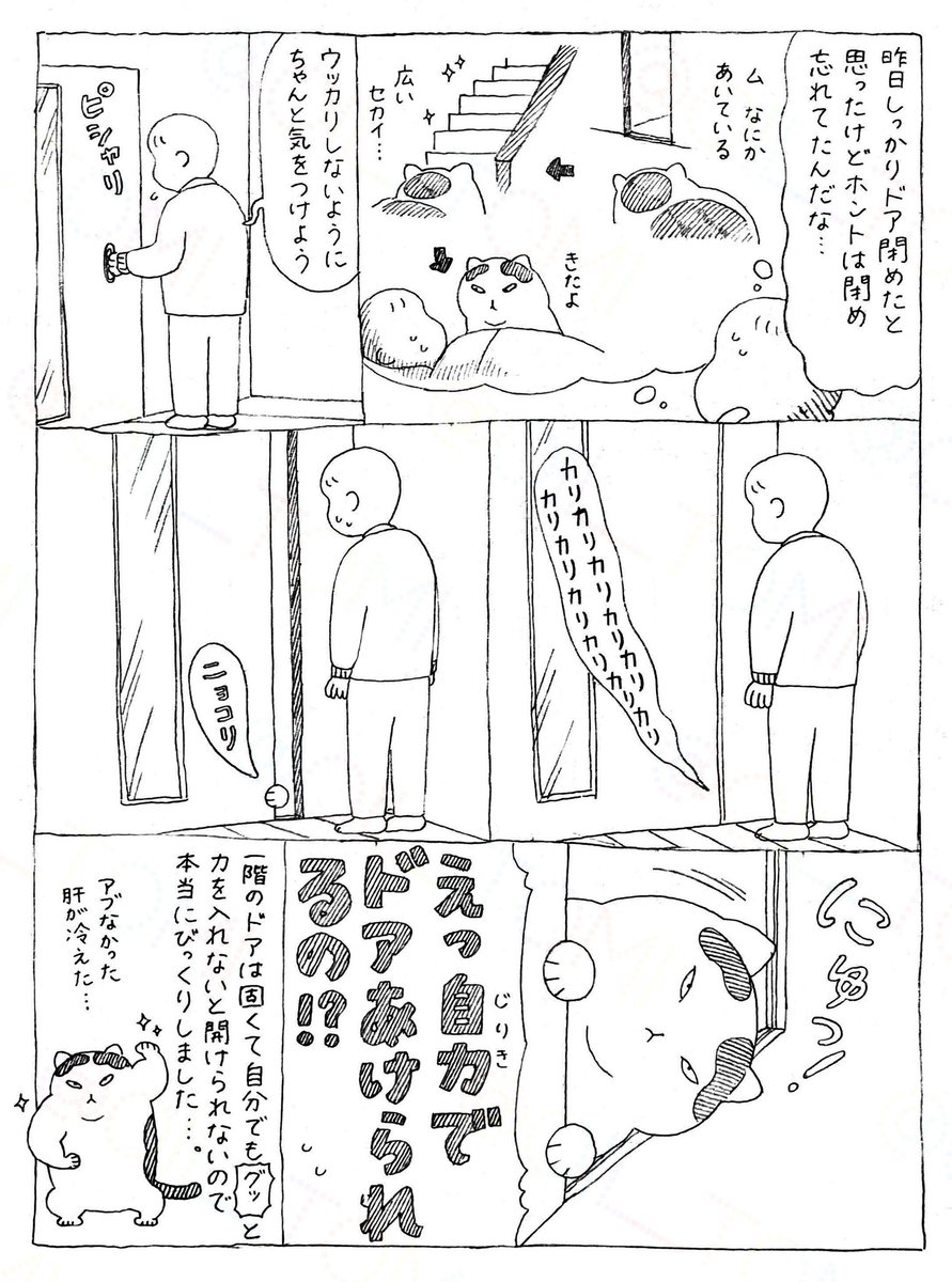 野良猫ごんたと先住猫