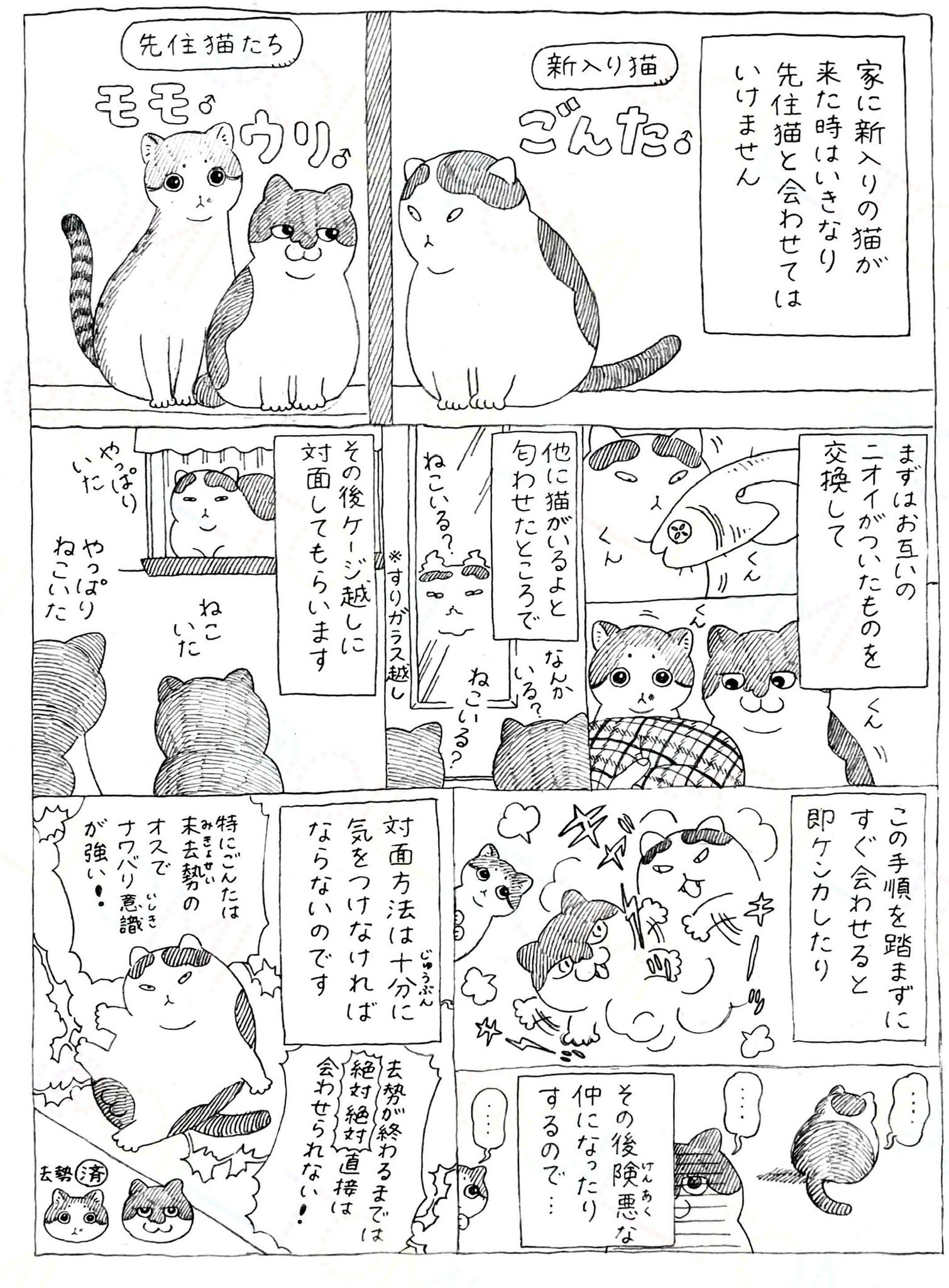 オイル富 on X: 