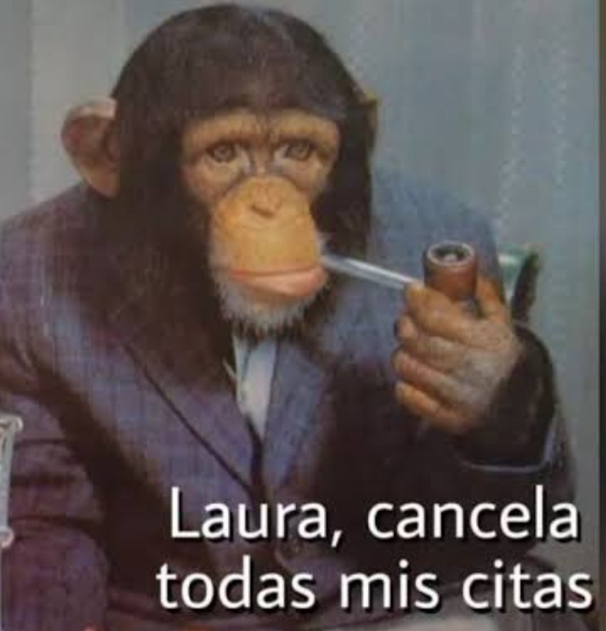 Yo, cuando me enteré que Ohtani abre mañana: