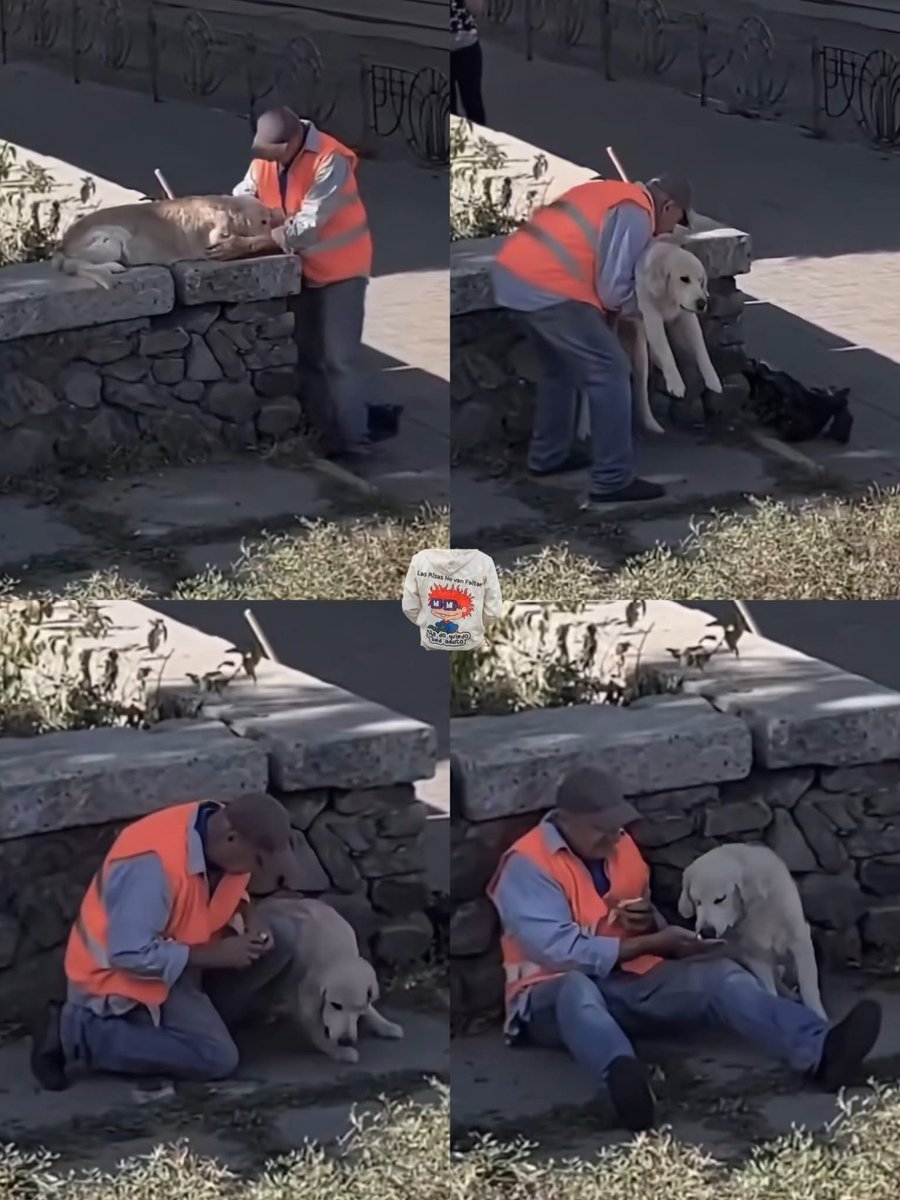 Un limpiador de calles no solo realizó su trabajo, sino que también mostró compasion hacia un perro abandonado. Le proporcionó comida y cobijo, demostrando un acto de bondad y humanidad sin necesidad de palabras.

Este gesto nos recuerda la importancia de tratar con dignidad y