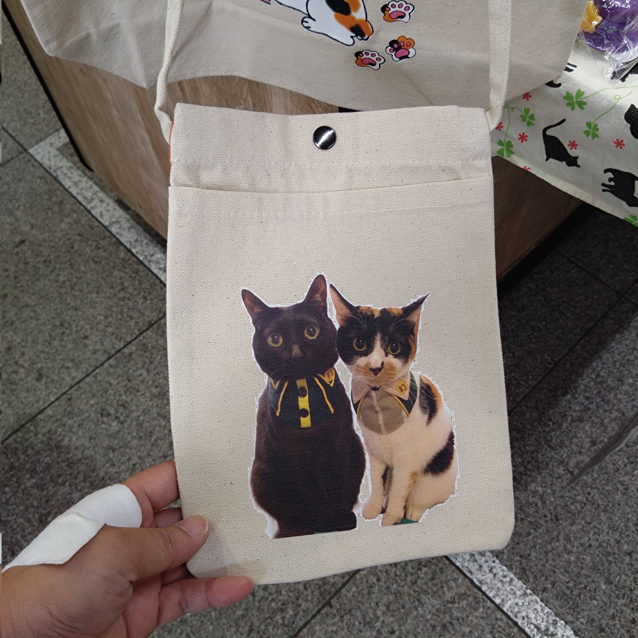 みけねこ。 (@mike_myi) / X