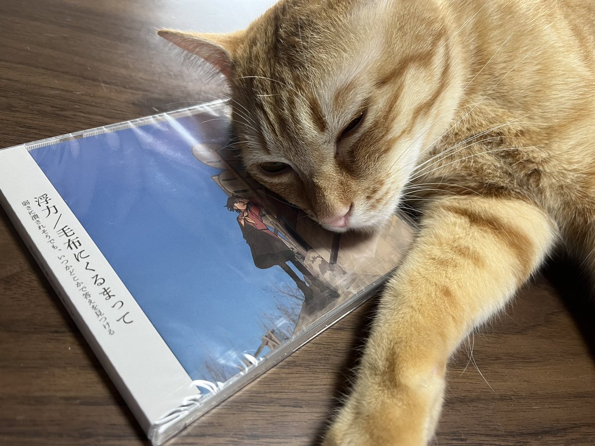 昨日対バンさせていただいた、毛布にくるまってさんの音源を購入しました。
昨日のライブも本当に良かったです。ギターのフレーズがやはり刺さる。そしてなんだか懐かしい。素晴らしき2010年代感。
後で仕事しながら、宿禰と一緒に聴きます。
#毛布にくるまって