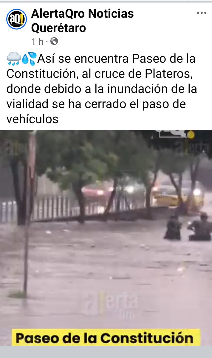 queretana70's tweet image. Lo bueno que #P5F no se inundó 🥲