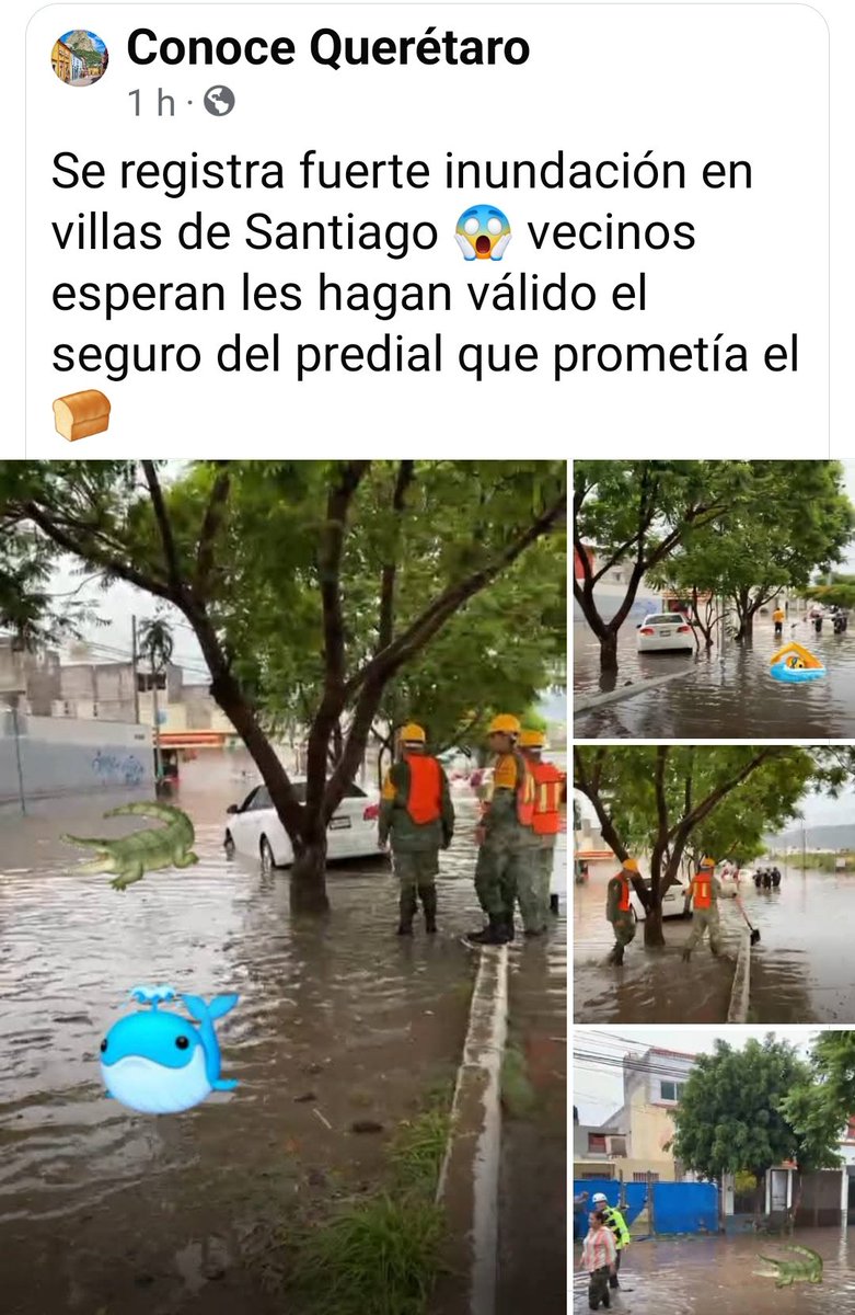 queretana70's tweet image. Lo bueno que #P5F no se inundó 🥲