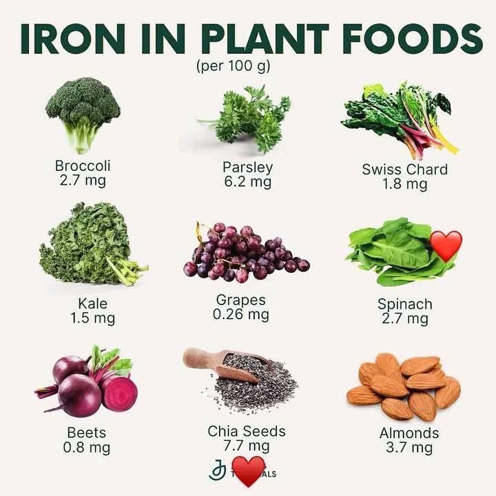 solution_d57401's tweet image. 🌱 Boost Your Energy with Iron-Rich Plant Foods! 🌿
Did you know that iron is essential for carrying oxygen throughout your body and maintaining energy levels? A healthy diet should include:
 • Men: 8 mg/day
 • Women (19-50): 18 mg/day
 • Pregnant Women: 27 mg/day