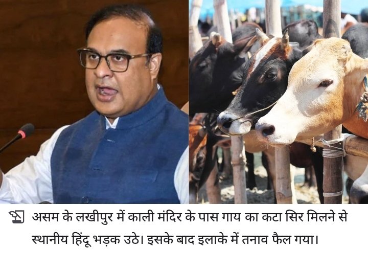 असम में मुसलमानों ने प्रस्तुत की "भाईचारे" का उदाहरण...हिंदू जिसे मां मानते है उस गौमाता का सिर काट हिंदुओं के पवित्र स्थल मंदिर में फेंक दिया...आखिर क्यों? ..क्योंकि यही इनका भाई "चारा" है

असम में काली मंदिर के पास फिर फेंका गया गाय का कटा सिर, भड़क उठे हिंदू: पुलिस ने बोदिर