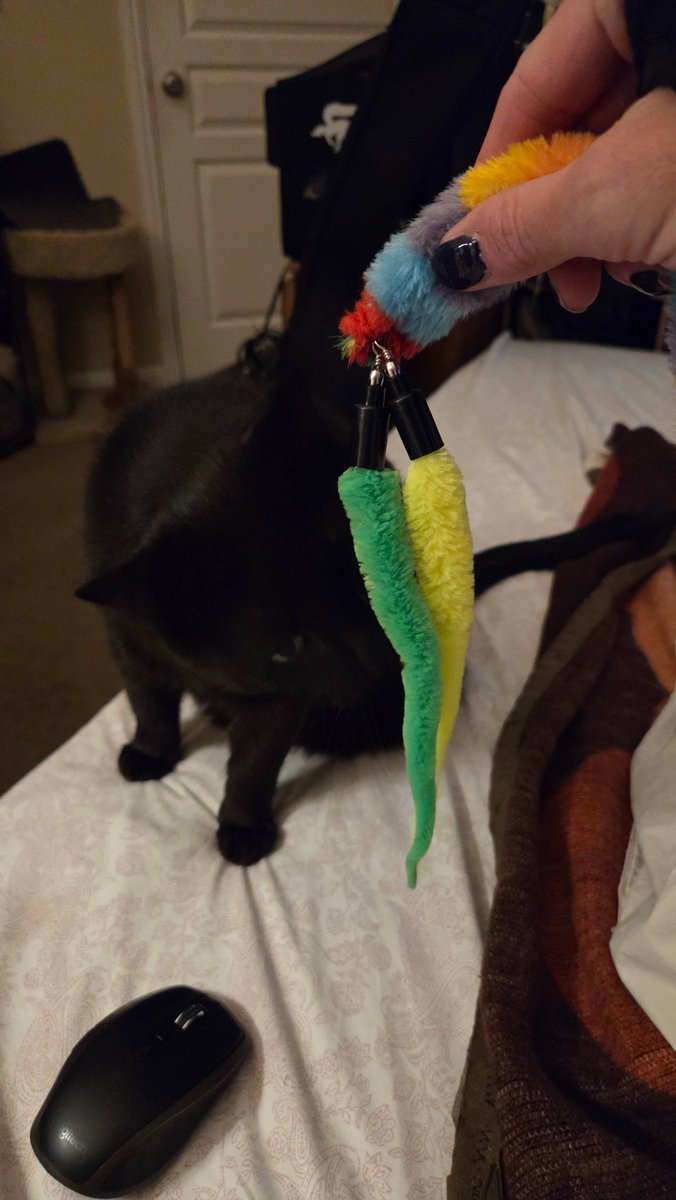 sewed a couple twizzle dizzlers onto a wand toy for the cat. the old wand toy these came from broke and now the new fluffy caterpillar toy has his favorite dizzlers on it and he's about to go ape shit.