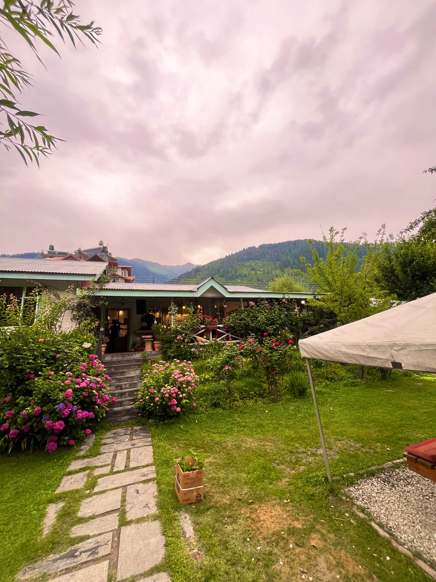 Rattan Dhillon tweet media